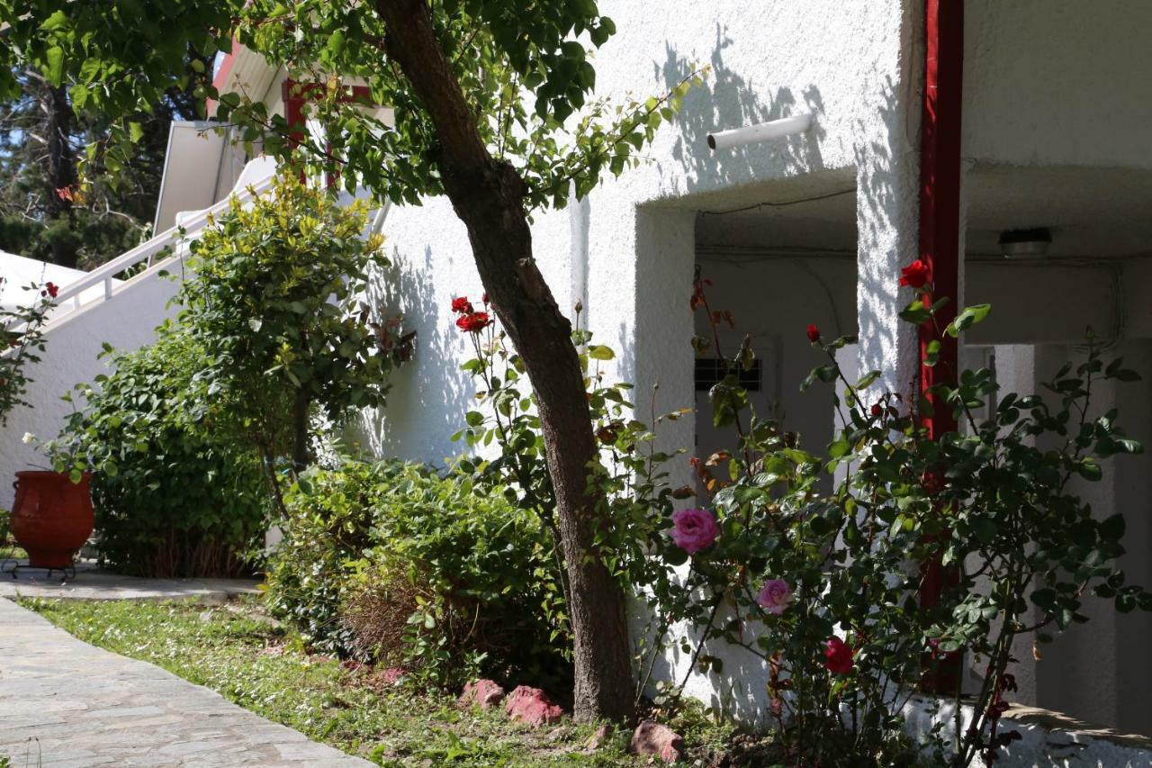 Betahomes- Summer Fourka Exterior foto